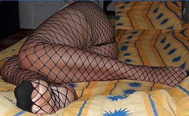 17P FISHNET