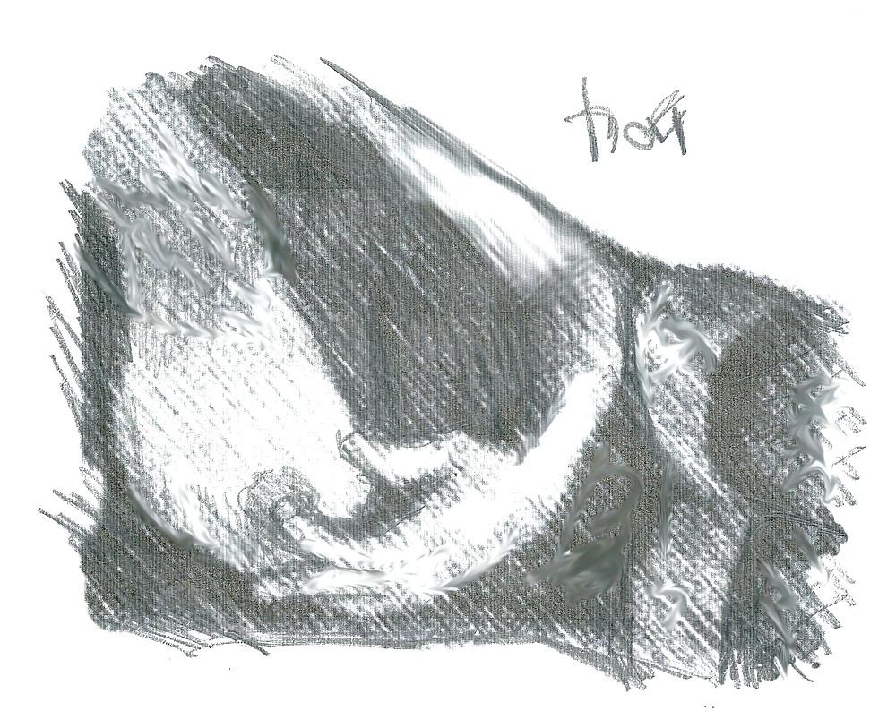 25P Sketches from webcams