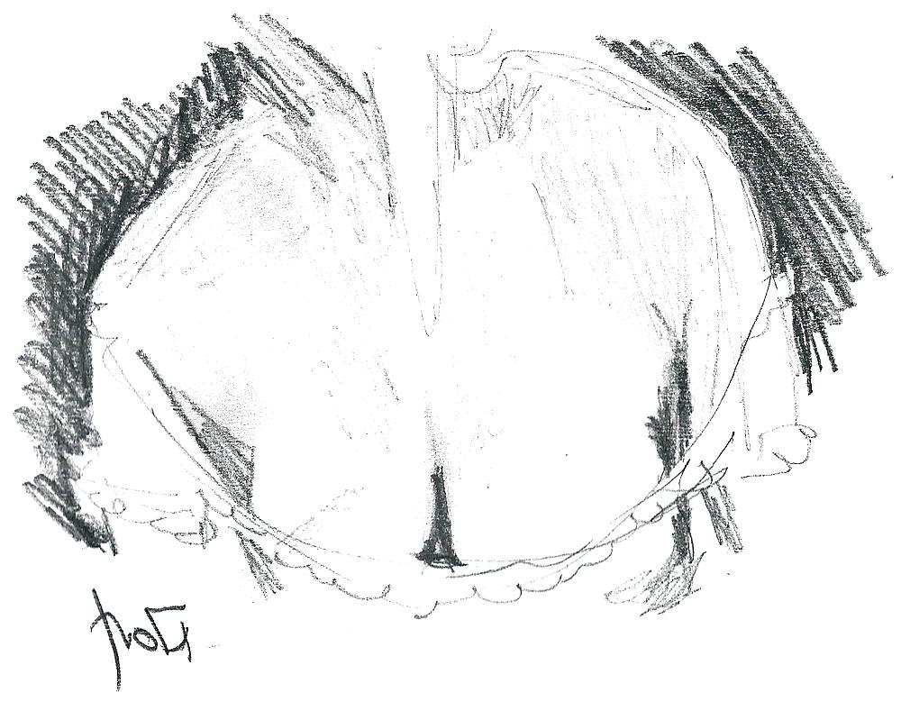 25P Sketches from webcams