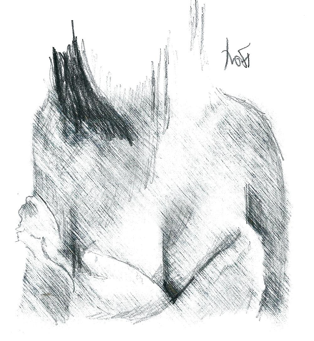 25P Sketches from webcams