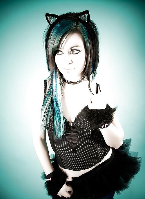 23P Kittens and Bunny 11!
