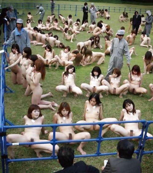 25P Group Shots Collection 16
