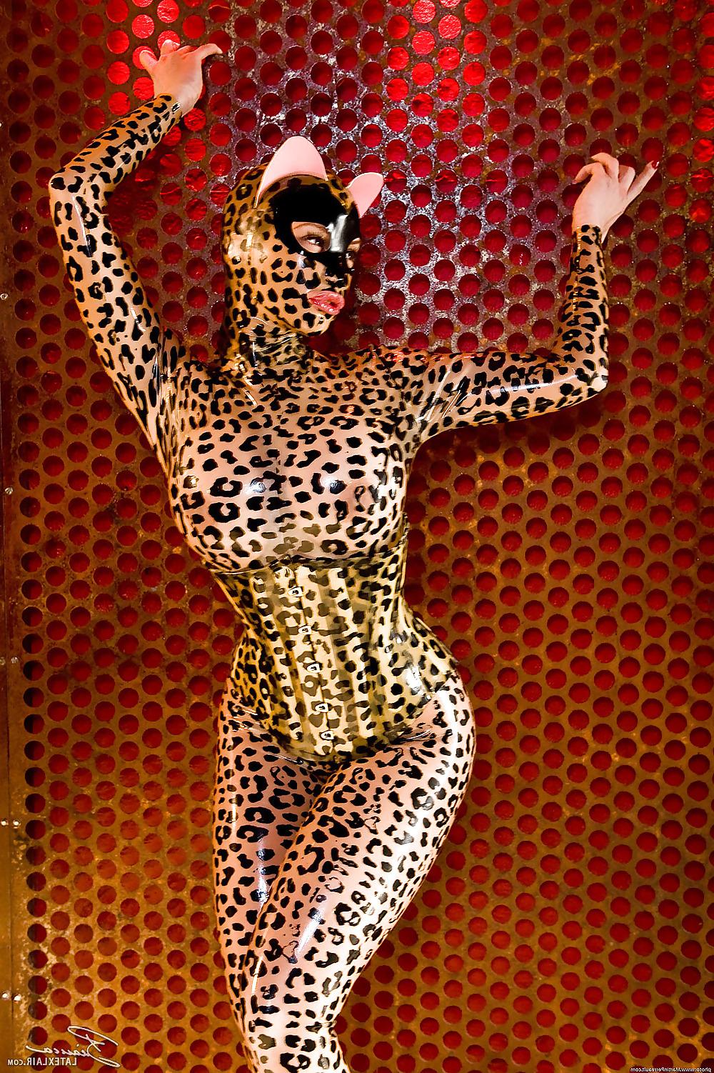 14P Latex Dreams 1 - Wild Kitty