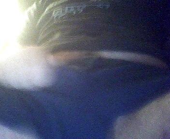 20P Dick Pics 