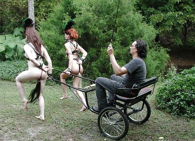 24P BDSM - Pet Girls 1