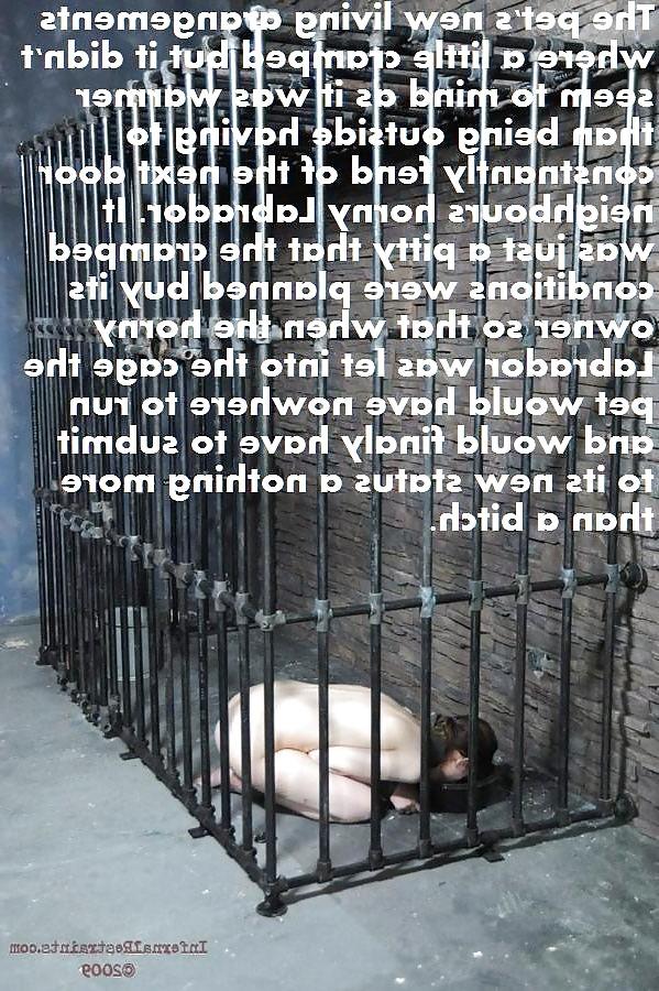 24P BDSM - Pet Girls 1