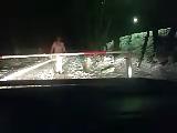 9P Outdoor auf parkplatz