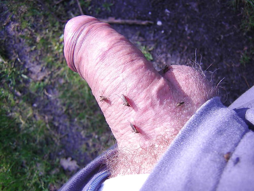 11P Bdsm public exhib cock flashing outdoor 