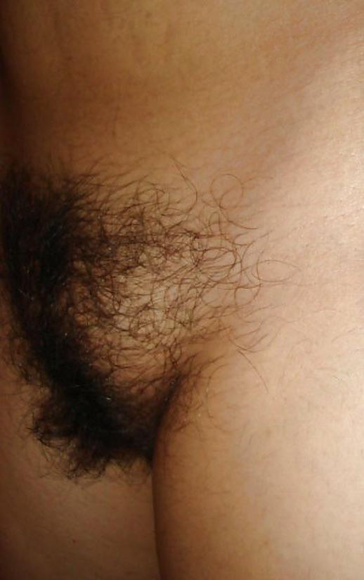 25P Hairy Indian Pussy 