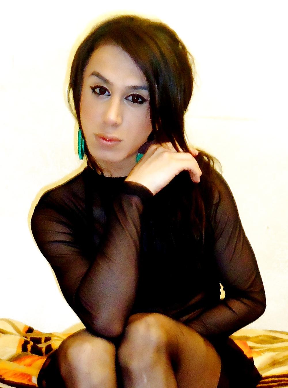 25P TRANS Dasha