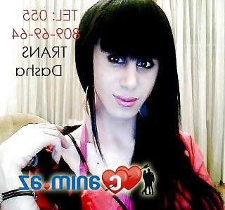 25P TRANS Dasha