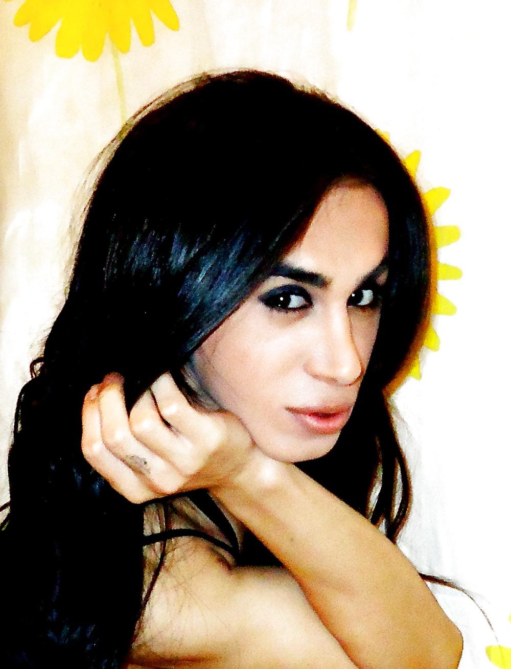 25P TRANS Dasha