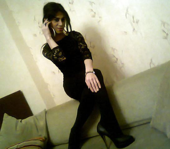 25P TRANS Dasha