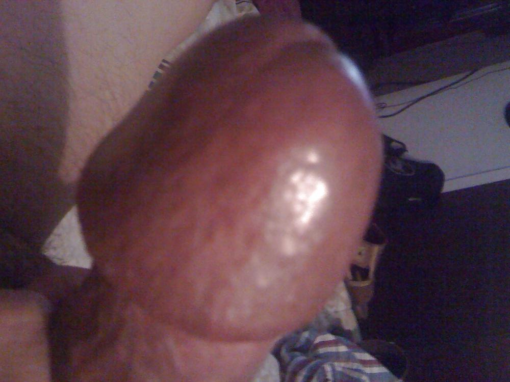 12P Michelle latina 559 milf