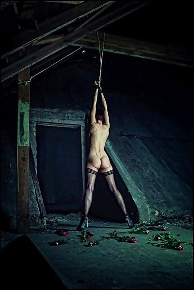25P Quality pictures BDSM 2