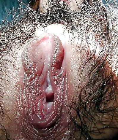 24P Hairy Pussy Vs. Smooth Pussy