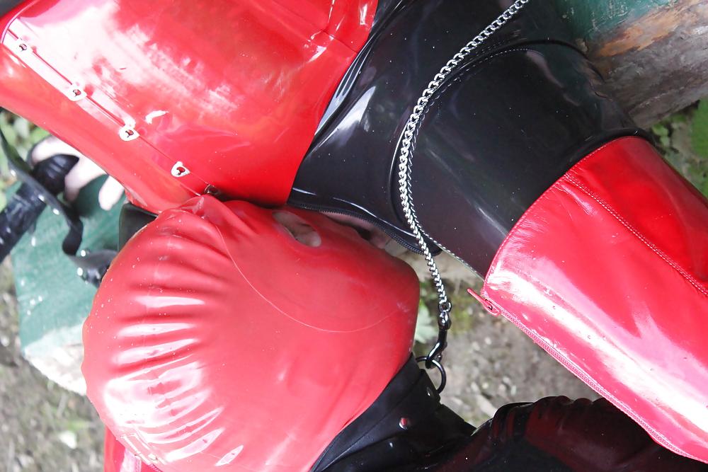 23P Latex Sau 