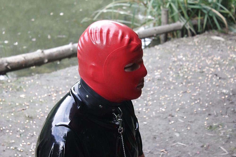 23P Latex Sau 