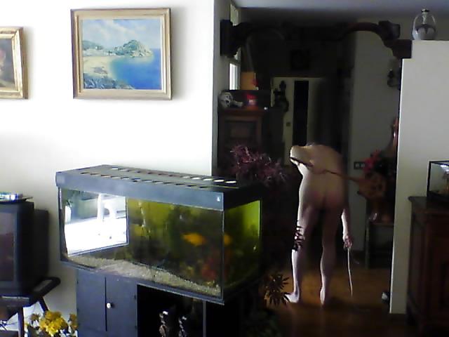 25P Webcam shooting 4