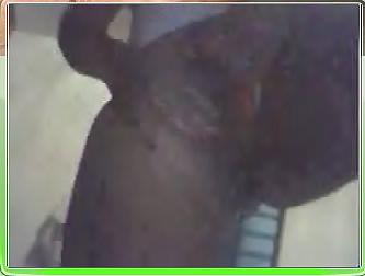 25P Webcam