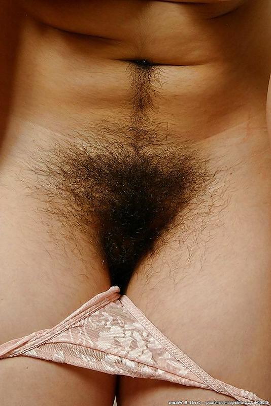 25P FIGA PELOSA NATURALE 4 , NATURAL HAIRY PUSSY 4