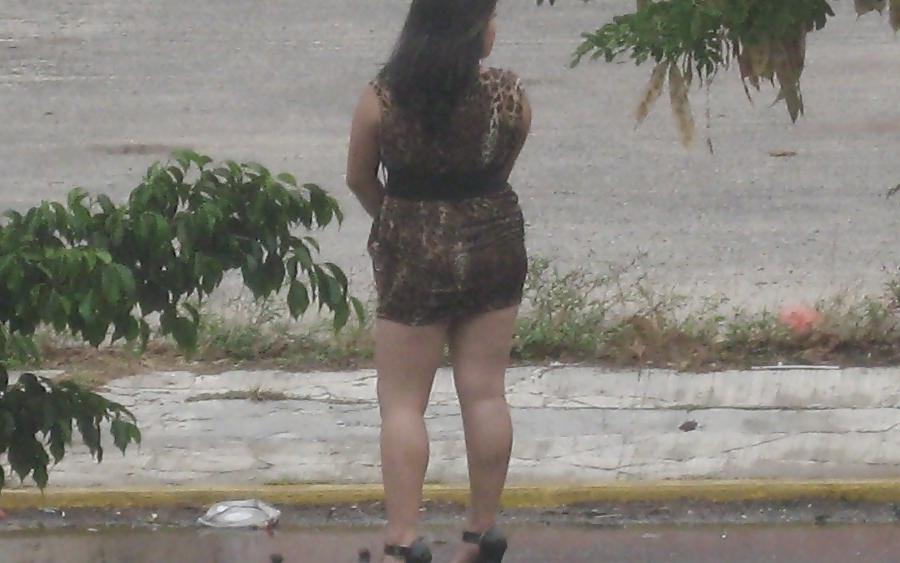 25P Debaixo da saia 50 - Under the skirt 50 Ed Especial