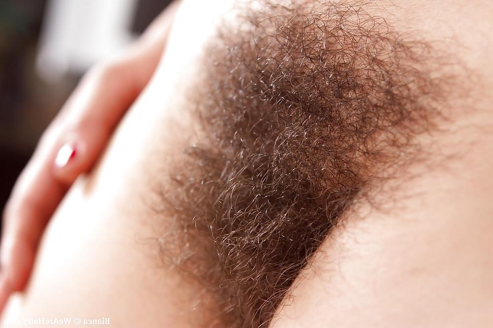 23P Hairy butts,pitts,legs,