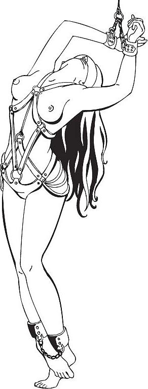 25P 3D -0050- BDSM Porn Cartoon - Pfred fickt Hure