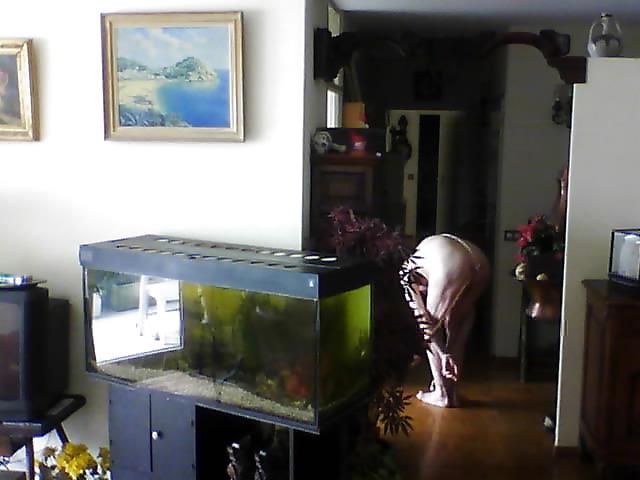 25P Webcam shooting