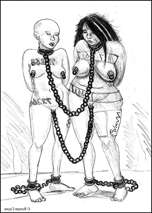 19P In erotic pencil drawings Roman Coyne tells the story of...