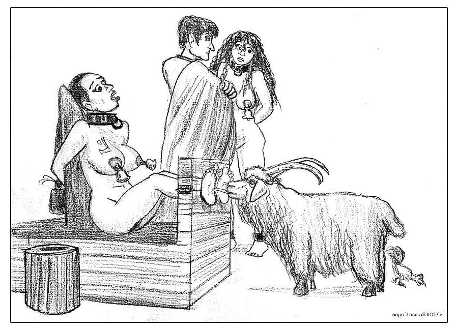 19P In erotic pencil drawings Roman Coyne tells the story of...