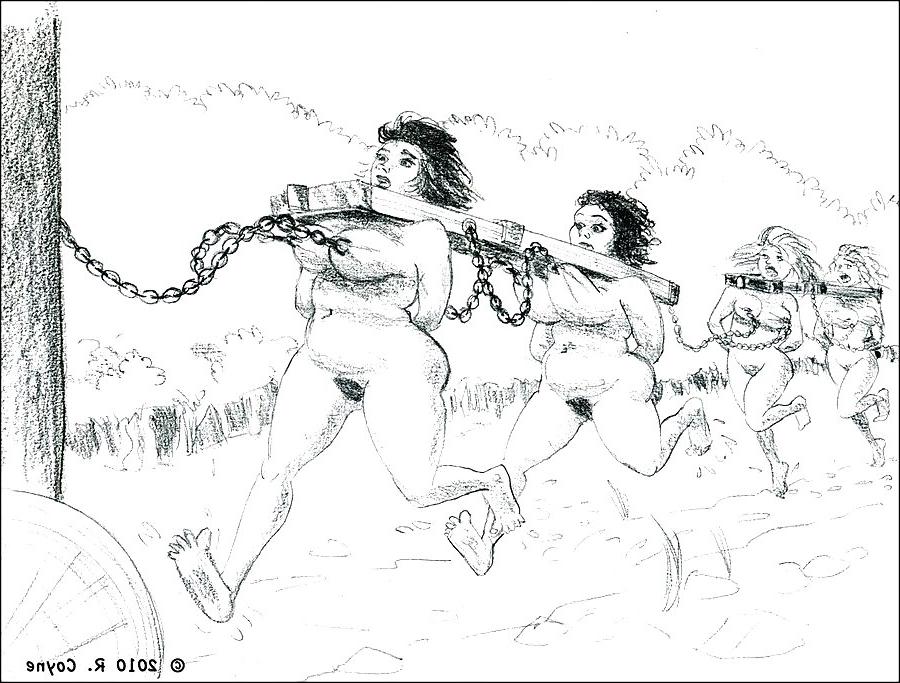 19P In erotic pencil drawings Roman Coyne tells the story of...