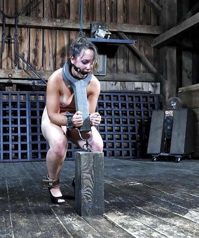 14P BDSM Institute: Steel for slaves