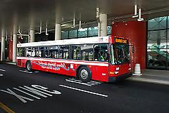25P Bus