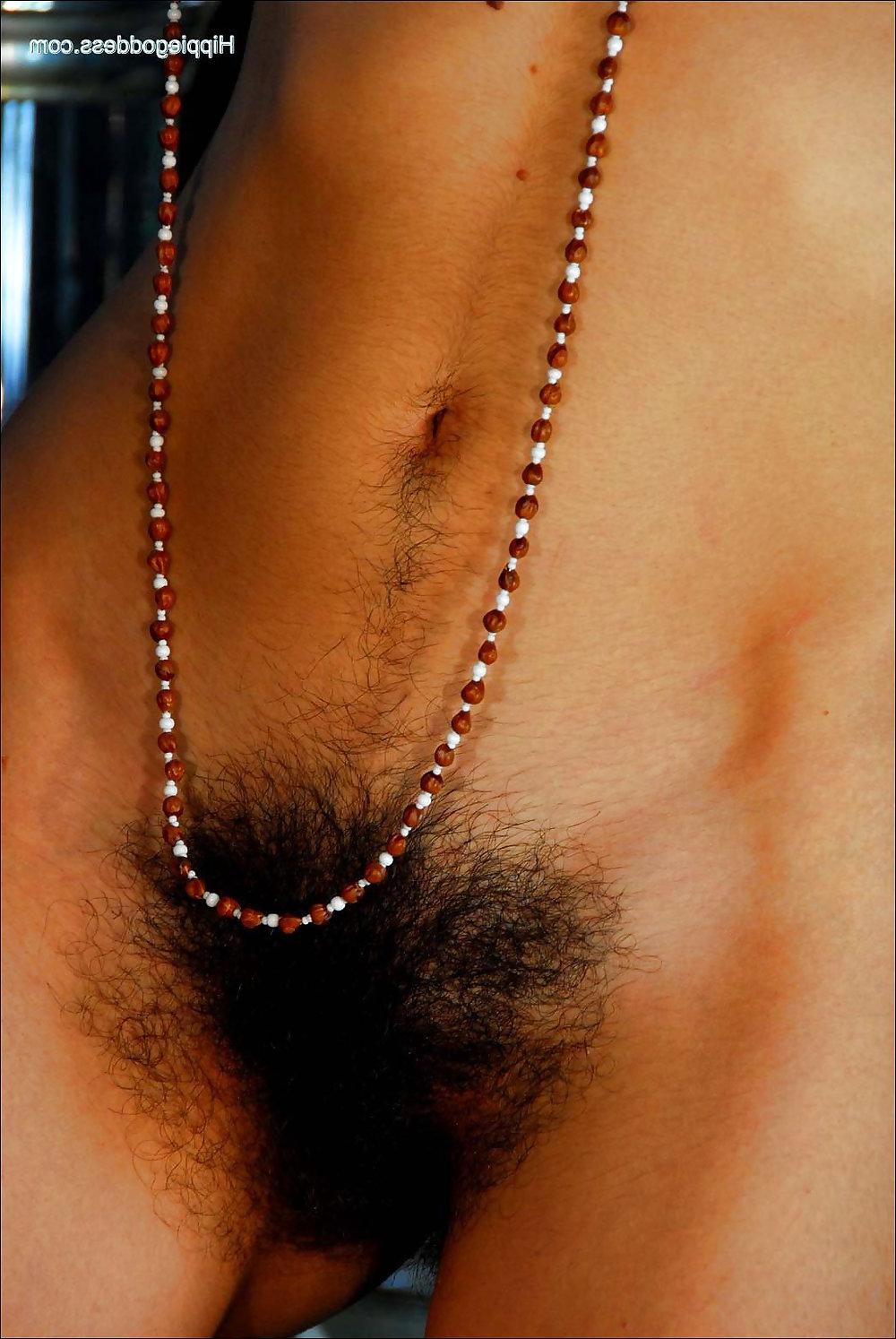 25P Hairy Alexia.