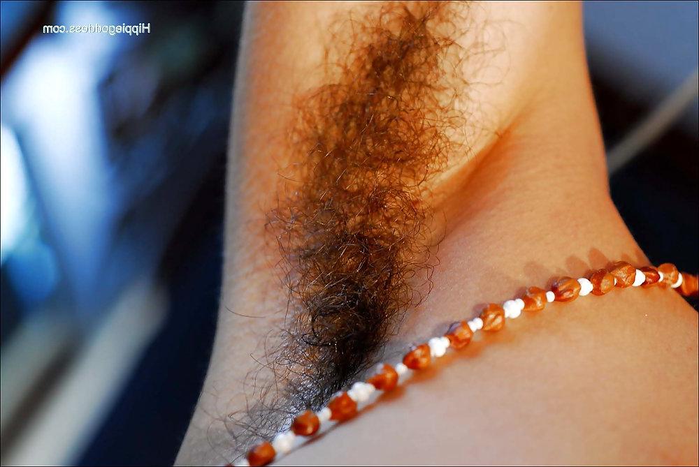 25P Hairy Alexia.