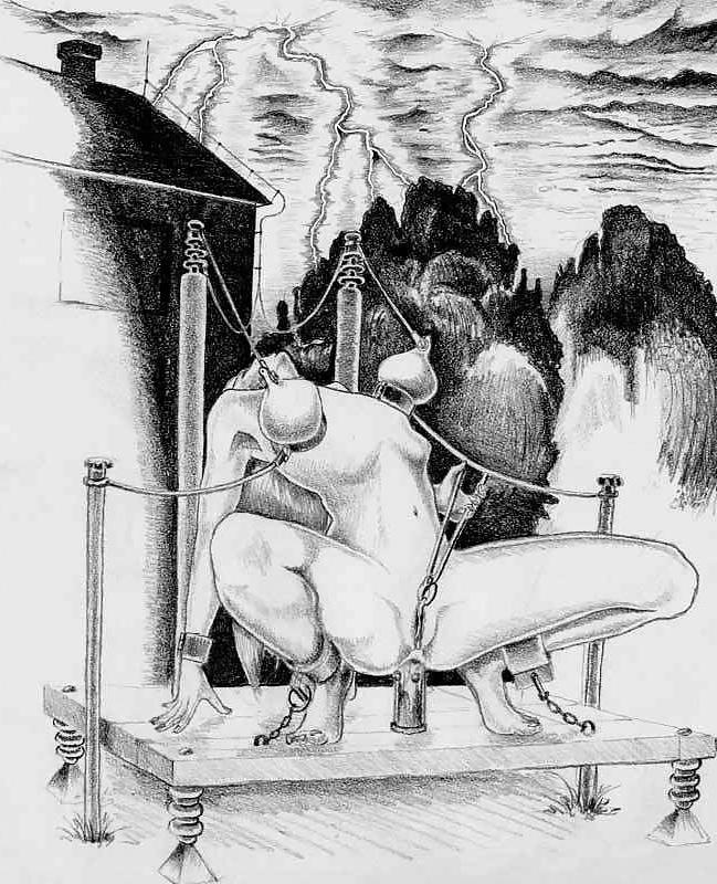 25P Cartoons or Drawings BDSM 2