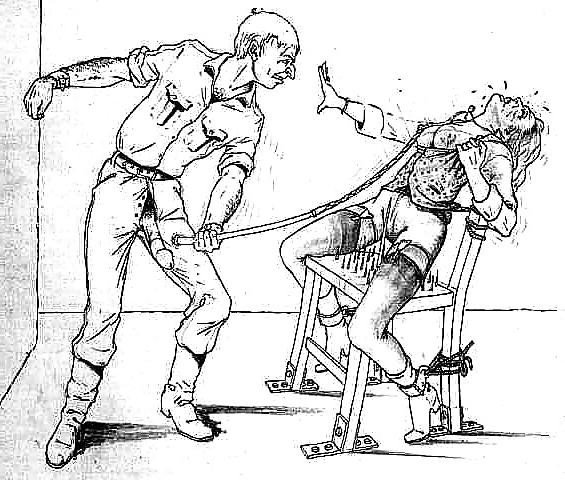 25P Cartoons or Drawings BDSM 2