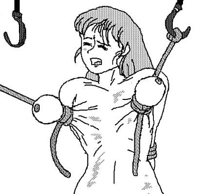 25P Cartoons or Drawings BDSM 2