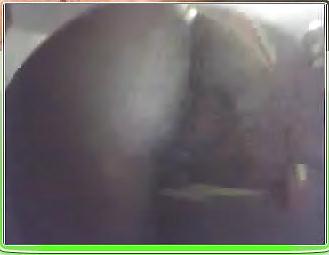 24P Webcam
