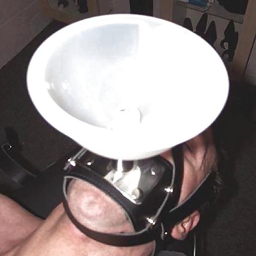 25P Femdom Mistress Special: Toilet Slaves