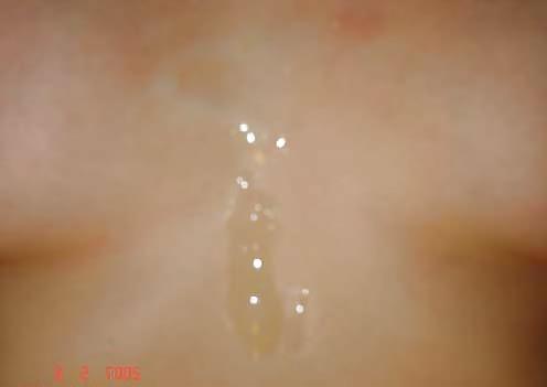 12P Elisabeth's wet shirt