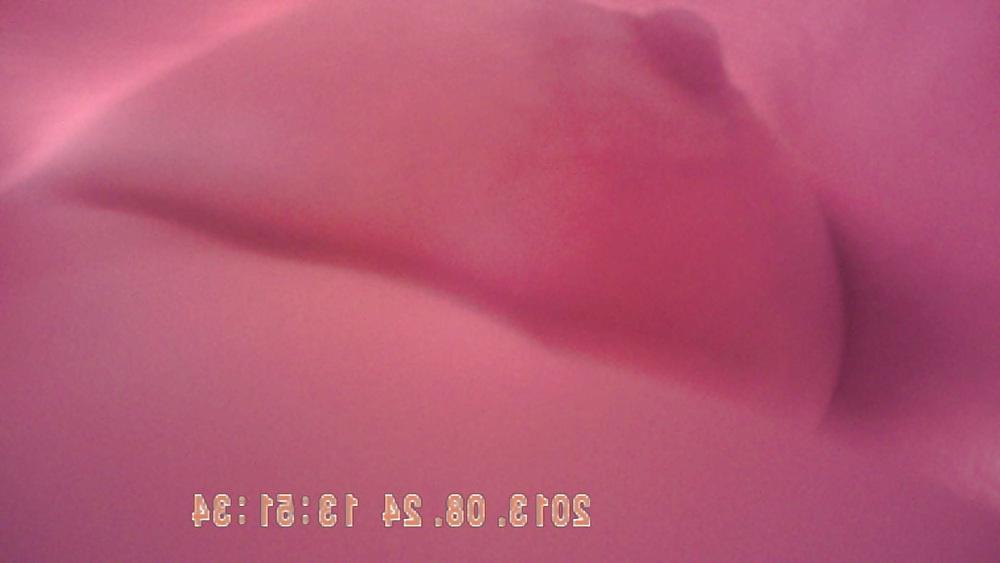 6P Puff orange shirt