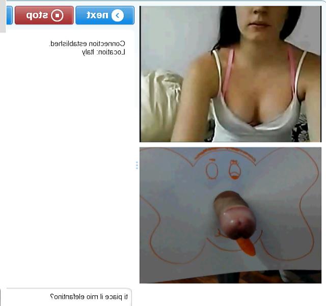 25P Elephant reaction