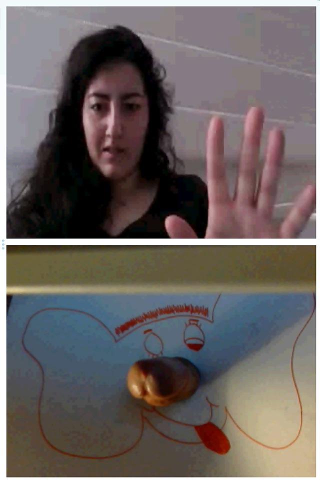 25P Elephant reaction