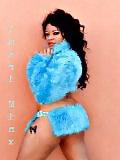 15P Imari Minx