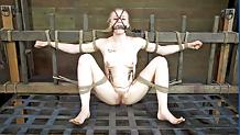 12P Bdsm Girls