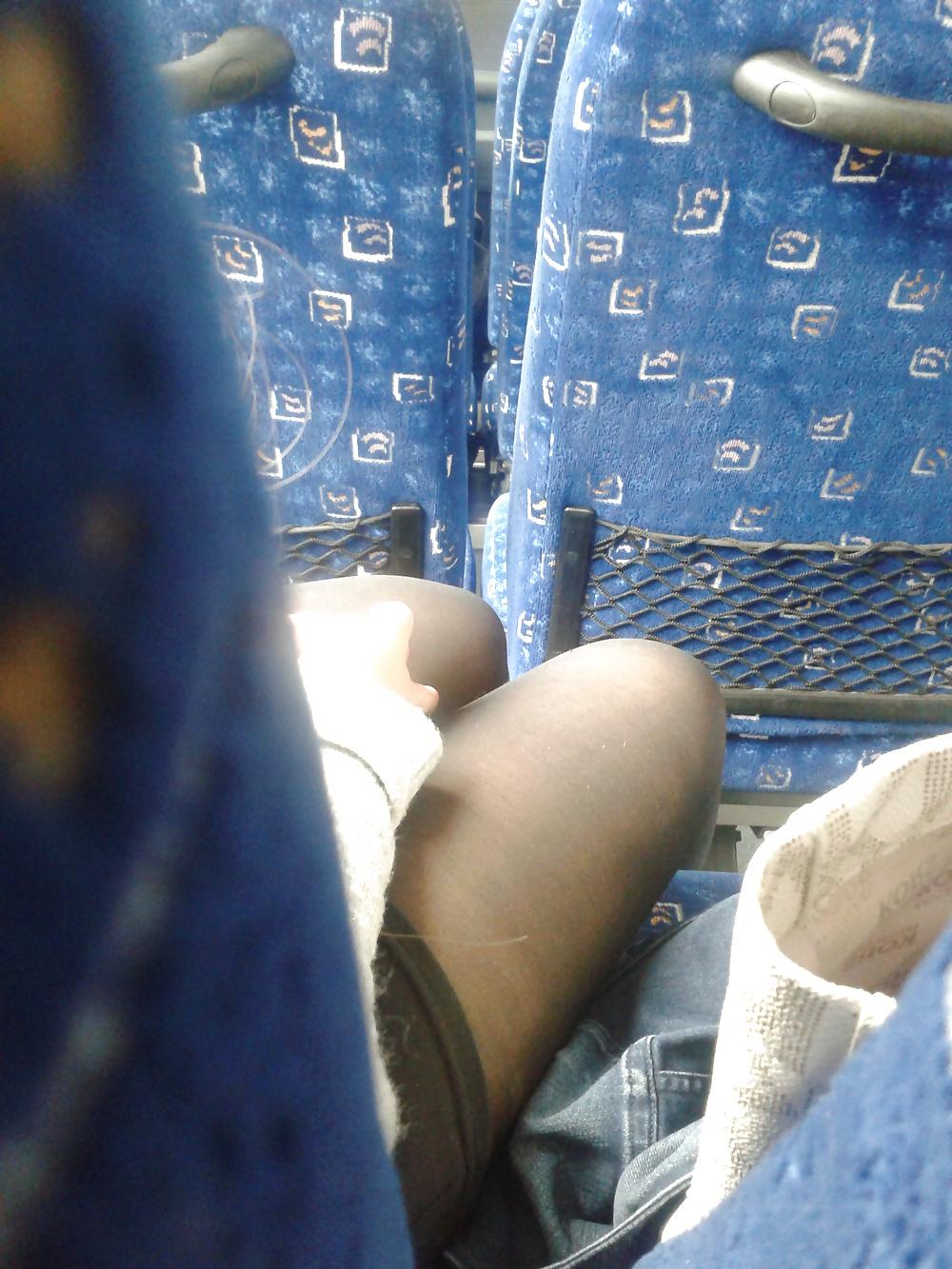 5P Legs Bus