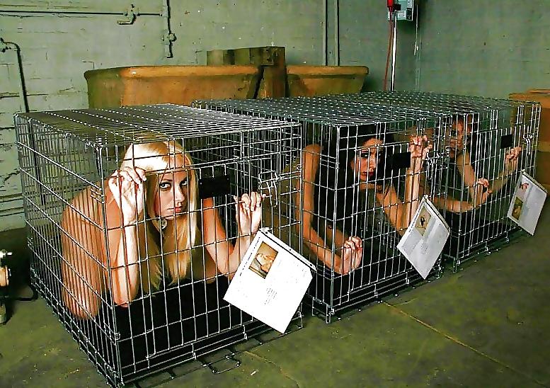 25P BDSM