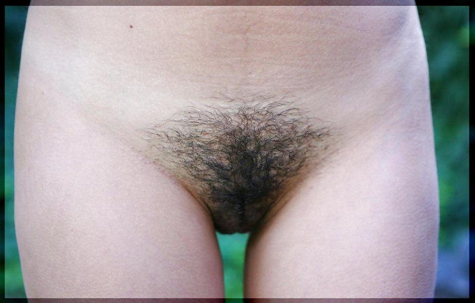 24P Amazing Hairy Teens